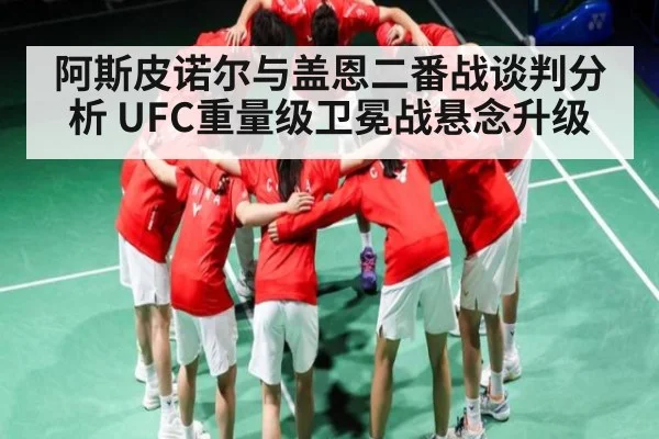 阿斯皮诺尔与盖恩二番战谈判分析 UFC重量级卫冕战悬念升级